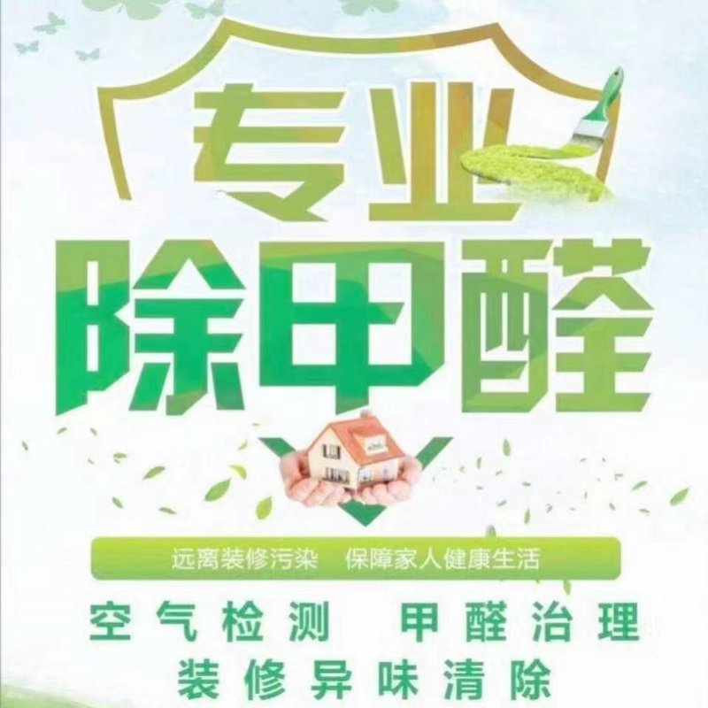 专业除甲醛